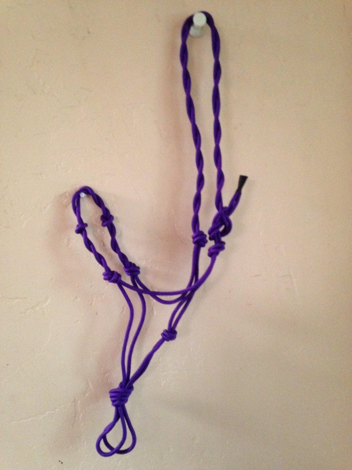 Purple Rope Halter 4 Knot Twisted Bitless Bridle